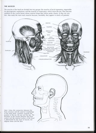 study drawing drawing portraits faces and figures