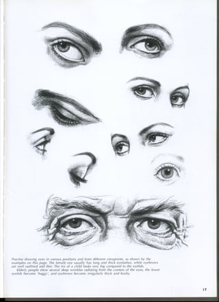 study drawing drawing portraits faces and figures