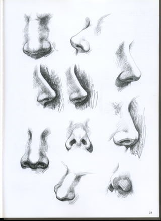 study drawing drawing portraits faces and figures
