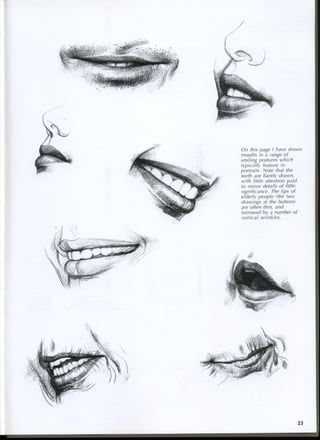 study drawing drawing portraits faces and figures