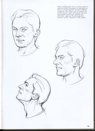 study drawing drawing portraits faces and figures
