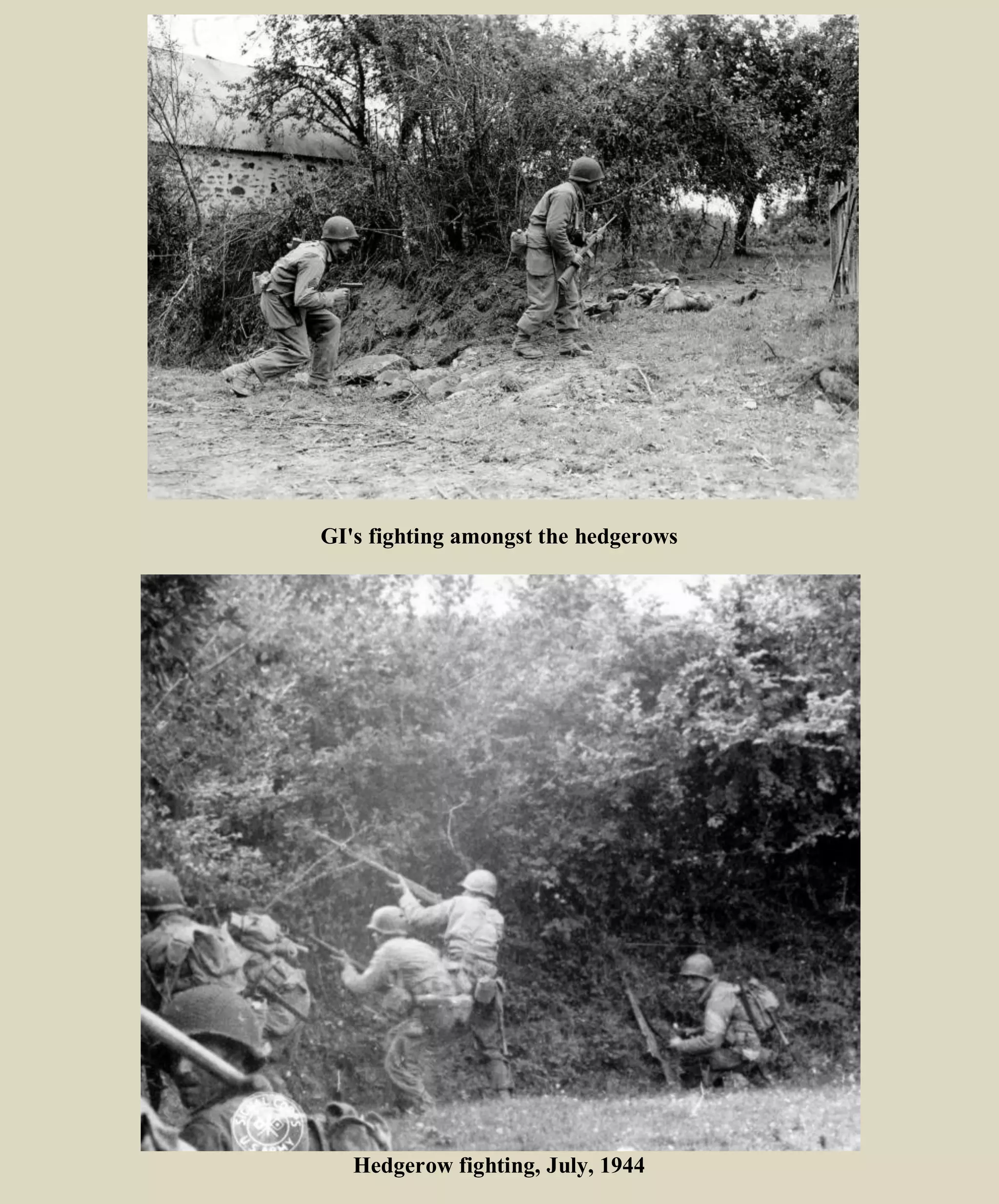 A PAIR OF PANTHER TANKS of Panzer Lehr Division, knocked out by 9th Division
defense and left on the road near le Désert.
First Army Progress, 11-14 July
In the VII Corps zone, the 4th and 83d Divisions continued to shoulder along the Carentan-Périers
highway, more and more aided by the pressure exerted from the east by the 9th Division. On 13 July, that
unit drove nearly to the important crossroads at les Champs-de-Losque. By 15 July, as a result of the
hardest kind of fighting, the 4th and 83d were on a line just north of Raids and held the Sainteny hills
which had been their main obstacle. But ahead of them the enemy still held strong defensive positions,
and had shown no signs of making a voluntary withdrawal. The cost to VII Corps of getting some six
square miles of ground along its peninsula had been high. From 9 to 16 July, the Corps lost 4,800 men;
First Army now called a halt to the offensive west of the Taute, holding VIII and VII Corps (except for
the 9th Division) at the positions reached on 14-15 July. Definite plans for a major breakthrough
operation (COBRA) were being made, the outline plan reaching First Army on 13 July. The offensive
now under way was to continue, but would aim at more modest objectives which would give suitable
jump-off positions for COBRA. The primary goal became the ground along the St-Lô-Périers highway in
front of the 9th and 30th Divisions. At the end of 15 July, the 30th Division was to come under VII Corps
in order to coordinate the continuing offensive toward this area.
During the 12 days from 4 to 15 July, ammunition expenditure was greater than at any other period
during the first two months of First Army's campaign. This occurred during a period when control was
being exercised and unrestricted firing was not permitted, when units were limited to one unit of fire for
attack, one-half unit for each subsequent day of attack, and one-third for a "normal" day. But deeper
and wider concentrations of fire than was ordinary had to be employed in hedgerow country to
compensate for lack of observation. Stocks became low in certain types, particularly 105-mm howitzer,
and strict rationing was established to restore the stocks for the coming operations. Fortunately, the port
of Cherbourg, although thoroughly mined and demolished by the Germans, had been rapidly cleared for
use. The first supplies from it began to trickle south on 15 July. Cherbourg was to prove an essential aid,
in the next weeks, to the supply problem. But the main ports of entry were still the open beaches, Omaha
and Utah, where the 1st, 5th, and 6th Engineer Special Brigades were performing miracles in getting
tonnage ashore under all conditions of weather. A daily average of 12,000 to 14,000 tons was being
maintained.
 