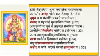 इतत ववद्याधिाः श्रुत्वा वचस्तेषां महात्मनाम्।
तमप्रमेयं ददृर्ुुः पवुते वानिषुभम ्।।5.1.31।।
दुधुवे च स िोमाणण चकम्प्पे चाचलोपमः |
ननाद च महानादं सुमहातनव तोयदः || 32||
आनुपूव्याुच्च वृत्तं च लाङ्गूलं िोमसभश ्धचतम्|
उत्पततष्यत्न्वगचक्षेप पक्षक्षिाज इवोिगम्|| 33||
तस्य लाङ्गूलमाववद्धमततवेगस्य पृष्ठतः |
ददृर्े गरुडेनेव द्रह्रयमाणो महोिगः || 34||
बाहू संस्तम्भयामास महापरिघसंतनभौ |
ससाद च कवपः क्यां चिणौ सञ्चुकोप च || 35||
 