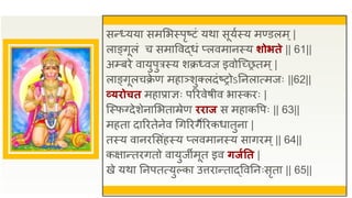 सन्ध्यया समसभस्पृष्टं यथा सूयुस्य मण्डलम ्|
लाङ्गूलं च समाववद्धं प्लवमानस्य र्ोभते || 61||
अम्प्बिे वायुपुत्रस्य शक्रध्वज इवोजच्ितम ्|
लाङ्गूलचक्र
े ण महाञ्शुक्लदंष्रोऽतनलात्मजः ||62||
व्यिोचत महाप्राज्ञः परिवेषीव भास्किः |
जस्फवदेशेनासभताम्रेण ििाज स महाकवपः || 63||
महता दारितेनेव धगरिगैरिकधातुना |
तस्य वानिससंहस्य प्लवमानस्य सागिम ्|| 64||
कक्षान्तिगतो वायुजीमूत इव िजगतत |
खे यथा तनपतत्युल्का उत्तिान्ताद्ववतनःसृता || 65||
 