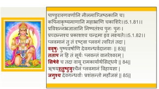 पाण्डुिारुणवणाुतन नीलमाजञ्जष्ठकातन च।
कवपनाकृ ष्यमाणातन महाभ्राणण चकासशिे।।5.1.81।।
प्रववशन्नभ्रजालातन तनष्पतंश्च पुनः पुनः।
प्रच्छन्नश्च प्रकाशश्च चन्िमा इव लक्ष्यते।।5.1.82।।
प्लवमानं तु तं दृष््वा प्लवगं त्वरितं तदा |
ववृर्ुुः पुष्पवषाुणण देवगन्धवुदानवाः || 83||
तताप न द्रह तं सूयुः प्लवन्तं वानिेश्विम्|
ससर्ेवे च तदा वायू िामकायाुथुससद्धये || 84||
ऋषयस्तुष्टुवुश्चैनं प्लवमानं ववहायसा |
जिुश्च देवगन्धवाुः प्रशंसन्तो महौजसं || 85||
 