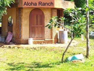 Aloha Ranch
 