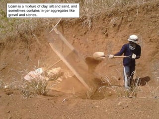 Loam is a mixture of clay, silt and sand, and
sometimes contains larger aggregates like
gravel and stones.
 
