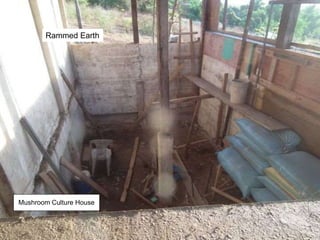 Rammed Earth
Mushroom Culture House
 