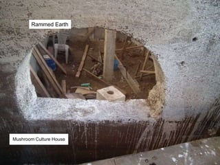 Rammed Earth
Mushroom Culture House
 