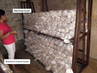 Rammed Earth
Mushroom Culture House
 