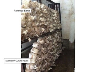 Rammed Earth
Mushroom Culture House
 