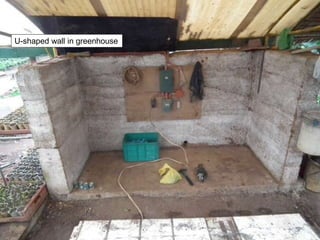 U-shaped wall in greenhouse
 