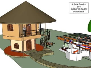 ALOHA RANCH
and
ORGANIC FARM
Macarascas
 