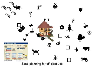 🐆
🐃
🐌
🌳
🌱
🌴 🌼
🍍
🌷
🇵🇭
🐜
🌵
🐈
🐿 🐂🐐
🌿
🌲 🍒
🍓🌾
🐟🐓
🐛
🐝
🐞
🐿
🍁🍂
🐿
🐿
🐓
🍋
🌾
🌾
🌾 🌾
Zone planning for efficient use
 