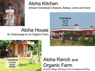 Aloha Ranch and
Organic Farm
An Eco Village Half way to the Underground River
Aloha House
An Orphanage on an Organic Farm
Aloha Kitchen
Artisan Farmstead Cheeses, Salsas, Jams and more
2 hectares
5 acres
13 rai
31 dou
7 hectares
17 acres
43 rai
108 dou
 