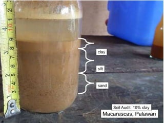 Macarascas, Palawan
Soil Audit: 10% clay
clay
silt
sand
 
