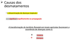  Causas dos
desmatamentos
• A disseminação de doenças tropicais=
significa= espalhamento ou propagação
A transformação do território florestal em locais agrícolas favorecem a
ocorrência de doenças como a:
 Malária
 Dengue.
 
