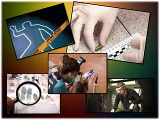 1 tarea de informatica--yuli