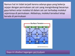 Namun hal ini tidak terjadi karena adanya gaya yang bekerja
sejajar dengan permukaan zat cair yang mengimbangi besarnya
gaya kohesi antar molekul di dalam zat cair terhadap molekul
sejenisnya di permukaan. Akibatnya, molekul tersebut tetap
berada di permukaan

Gaya ini disebut tegangan copyright by mira
permukaan

4

 