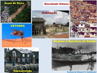 Áreas de Risco Densidade Urbana
VETORES
Acesso a Serviços de Saúde
Saneamento
Habitação
Cortesia de Ulisses E C Confalonieri
 