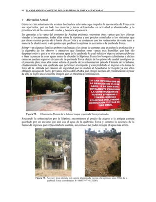 PLAN DE MANEJO AMBIENTAL DE LOS HUMEDALES TORCA Y GUAYMARAL96
Afectación Actual
Cómo se citó anteriormente existen dos hechos relevantes que impiden la reconexión de Torca con
sus aportantes, por un lado las canteras y áreas deforestadas en actividad o abandonadas y la
privatización de las zonas de rondas y bosques adyacentes.
En cercanías a la venta del contento de Ancizar podemos encontrar otras ventas que hoy ofrecen
viandas a los paseantes, todas ellas sobre la séptima y con precios asimilados a los visitantes que
por ahora sienten pereza de ir hasta chía o Cota y se contentan con los restaurantes de corte rural a
manera de chalet suizo o de quintas que pueblan la séptima en cercanías a la quebrada Torca.
Sobreviven algunas familias pobres confinadas a las áreas de canteras que extrañan la explotación y
la algarabía de los obreros y operarios que llenaban otras ventas más humildes que han ido
despareciendo y que a su vez extraen agua de la quebrada lo cual señala o bien su extrema pobreza
o bien la pureza de esas aguas antes de abordar la Séptima. Hasta los bosques colindantes a dichas
canteras pueden seguirse el curso de la quebrada Torca objeto de los planes de caudal ecológico en
el presente plan; mas allá como señala el guarda de la urbanización privada Floresta de la Sabana,
efectivamente hay una quebrada que pertenece al conjunto y está prohibido el ingreso o la toma de
fotos de la entrada por razones de seguridad que no atañen al Acueducto de Bogotá ya que ellos
obtienen su agua de pozos privados, menos del DAMA que otorgó licencia de construcción; a pesar
de ello se logró una elocuente imagen que se presenta a continuación.
Figura 72. Urbanización Floresta de la Sabana, bosque y quebrada Torca privatizados
Rodeando la urbanización por la Séptima encontramos el predio de acceso a la antigua cantera
guardado por un anciano que aún usa el agua de la quebrada Torca y lamenta la ausencia de la
fuente de ingresos que representaba la cantera, así como el no poder recoger el agua más arriba.
Figura 73. Acceso y área afectada por cantera abandonada, vecina a la séptima a unos 300m de la
quebrada Torca (coordenadas X=1005379 Y=1532243)
 