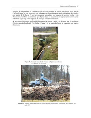 Caracterización Diagnóstica 97
Después de inspeccionar la cantera se concluyó que aunque no reviste un peligro serio para la
Carrera Séptima en este momento, está colapsada en algunos lugares, donde las rocas se desprenden
por acción de la lluvia. A su vez representa un peligro por tratarse de un área oculta y sin
iluminación. También se determinó que algunas áreas se encuentran en regeneración natural de las
coberturas y que hay varias especies de aves que tienen residencia allí.
Al atravesar el conjunto residencial Floresta de la Sabana y salir a la Séptima por el predio del
Colegio Alemán Friederich Von Shiller (Figura 74), la quebrada Torca se encuentra con nuevos
obstáculos.
Figura 74. Salida de la quebrada Torca a la Séptima (coordenadas
X= 1005202, Y=1532243)
Figura 75. Rellenos practicados frente al colegio Miguel Antonio Caro, al occidente de la séptima con
calle 237.
 