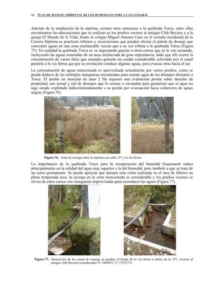 PLAN DE MANEJO AMBIENTAL DE LOS HUMEDALES TORCA Y GUAYMARAL98
Además de la ampliación de la séptima, existen otras amenazas a la quebrada Torca, entre ellas
encontramos las adecuaciones que se realizan en los predios vecinos al antiguo Club Bavaria y a la
granja El Mundo de la Vida; frente al colegio Miguel Antonio Caro en el costado occidental de la
Carrera Séptima se practican rellenos y excavaciones que pueden afectar el patrón de drenaje que
concentra aguas en una zona encharcable vecina que a su vez tributa a la quebrada Torca (Figura
75). En realidad la quebrada Torca se va engrosando gracias a otros cursos que se le van sumando,
incluyendo las aguas resumidas de un área encharcada de gran importancia, dado que allí ocurre la
concentración de varios hilos que sumados generan un caudal considerable colectado por el canal
paralelo a la vía férrea que por su nivelación conduce algunas aguas, pero evacua otras hacia el sur.
La concentración de aguas mencionada es aprovechada actualmente por varios predios, como se
puede deducir de las múltiples mangueras encontradas para extraer agua de los drenajes aferentes a
Torca. El predio en mención de unas 2 Ha requiere una evaluación pronta sobre derecho de
propiedad, uso actual y red de drenajes que lo cruzan o circundan para garantizar que el agua no
siga siendo explotada indiscriminadamente o se pierda por evacuación hacia colectores de aguas
negras (Figura 76)
Figura 76. Zona de recarga entre la séptima con calle 237 y la vía férrea
La importancia de la quebrada Torca para la recuperación del humedal Guaymaral radica
principalmente en la calidad del agua muy superior a la del humedal, pero también a que se trata de
un curso permanente. Se puede apreciar que durante esta visita realizada en el mes de febrero en
plena temporada seca, la recarga en la zona mencionada es considerable y los predios vecinos se
sirven de estos cursos con mangueras improvisadas para reconducir las aguas (Figura 77)
Figura 77. Desecación de las zonas de recarga en predios al borde de la vía férrea a altura de la 237, vecinos al
antiguo club Bavaria (coordenadas X=1004832, Y=1532373).
 