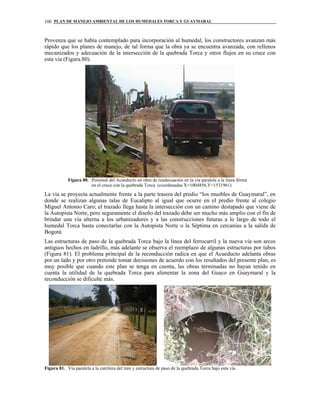 PLAN DE MANEJO AMBIENTAL DE LOS HUMEDALES TORCA Y GUAYMARAL100
Provenza que se había contemplado para incorporación al humedal, los constructores avanzan más
rápido que los planes de manejo, de tal forma que la obra ya se encuentra avanzada, con rellenos
mecanizados y adecuación de la intersección de la quebrada Torca y otros flujos en su cruce con
esta vía (Figura.80).
Figura 80. Personal del Acueducto en obra de readecuación en la vía paralela a la línea férrea
en el cruce con la quebrada Torca (coordenadas X=1004856,Y=1531961)
La vía se proyecta actualmente frente a la parte trasera del predio “los muebles de Guaymaral”, en
donde se realizan algunas talas de Eucalipto al igual que ocurre en el predio frente al colegio
Miguel Antonio Caro; el trazado llega hasta la intersección con un camino destapado que viene de
la Autopista Norte, pero seguramente el diseño del trazado debe ser mucho más amplio con el fin de
brindar una vía alterna a los urbanizadores y a las construcciones futuras a lo largo de todo el
humedal Torca hasta conectarlas con la Autopista Norte o la Séptima en cercanías a la salida de
Bogotá.
Las estructuras de paso de la quebrada Torca bajo la línea del ferrocarril y la nueva vía son arcos
antiguos hechos en ladrillo, más adelante se observa el reemplazo de algunas estructuras por tubos
(Figura 81). El problema principal de la reconducción radica en que el Acueducto adelanta obras
por un lado y por otro pretende tomar decisiones de acuerdo con los resultados del presente plan, es
muy posible que cuando este plan se tenga en cuenta, las obras terminadas no hayan tenido en
cuenta la utilidad de la quebrada Torca para alimentar la zona del Guaco en Guaymaral y la
reconducción se dificulte más.
Figura 81. Vía paralela a la carrilera del tren y estructura de paso de la quebrada Torca bajo esta vía.
 