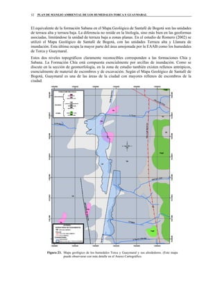 PLAN DE MANEJO AMBIENTAL DE LOS HUMEDALES TORCA Y GUAYMARAL32
El equivalente de la formación Sabana en el Mapa Geológico de Santafé de Bogotá son las unidades
de terraza alta y terraza baja. La diferencia no reside en la litología, sino más bien en las geoformas
asociadas, limitándose la unidad de terraza baja a zonas planas. En el estudio de Romero (2002) se
utilizó el Mapa Geológico de Santafé de Bogotá, con las unidades Terraza alta y Llanura de
inundación. Esta última ocupa la mayor parte del área amojonada por la EAAB como los humedales
de Torca y Guaymaral.
Estos dos niveles topográficos claramente reconocibles corresponden a las formaciones Chía y
Sabana. La Formación Chía está compuesta esencialmente por arcillas de inundación. Como se
discute en la sección de geomorfología, en la zona de estudio también existen rellenos antrópicos,
esencialmente de material de escombros y de excavación. Según el Mapa Geológico de Santafé de
Bogotá, Guaymaral es una de las áreas de la ciudad con mayores rellenos de escombros de la
ciudad.
Figura 23. Mapa geológico de los humedales Torca y Guaymaral y sus alrededores. (Este mapa
puede observarse con más detalle en el Anexo Cartográfico.
 