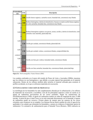 Caracterización Diagnóstica 41
USC Descripción
4,00
5,00
6,00
contacto
1,00
2,00
3,00
Profundidad
(m)
CH
CH
CL
Arcillo limoso orgánico, carmelita oscuro, humedad alta, consistencia muy blanda
Relleno heterogéneo, detritos de demolición y basuras en matriz arcillo limosa orgánica
de color carmelita, humedad alta, consistencia muy blanda
Relleno heterogéneo orgánico con gravas, arenas, arcillas y detritos de demolición, color
carmelita vetas amarillas, plasticidad alta.
Arcilla gris azulada, consistencia blanda, plasticidad alta
Arcilla gris azulado verdoso, consistencia blanda, compresibilidad alta
Arcilla con limo gris verdoso, humedad media, consistencia blanda
Arcilla con limo carmelita, humedad alta, consistencia blanda, plasticidad baja
OH
OH
OH
CH
Figura 26. Perfil estratigráfico. Fuente: Romero (2002)
Los sondeos realizados en el marco del estudio de Ponce de León y Asociados (2000a), muestran
que los rellenos no son homogéneos y que debido a su gran espesor han penetrado en el material
subyacente. Dentro de los rellenos también debe incluirse el material utilizado para construir el
jarillón occidental, en el que se utilizaron materiales de excavación.
2.3 CONCLUSIONES Y DISCUSIÓN DE PROPUESTAS
La morfología de los humedales ha sido completamente alterada por la urbanización y los rellenos
de materiales de excavación y escombros. Uno de los principales aspectos a tener en cuenta es el
aporte de sedimentos provenientes de los cerros orientales. Según las estimaciones de
EEI/Hidromecánicas (1998), el aporte de sedimentos tendría un orden de magnitud de unas 13.400
ton/año. A pesar de que el canal Torca ya no está conectado directamente con el humedal, el aporte
de sedimentos puede ser excesivo. Existen planes de manejo para las canteras de los cerros
orientales, pero al parecer no se cumplen. Las intensas lluvias hacen cambiar de color el agua de las
quebradas y los canales que alimentan los humedales, y ponen en evidencia el importante aporte de
sedimentos. Un estimativo de sedimentación para el humedal Torca (Romero, 2002) indicaría un
 