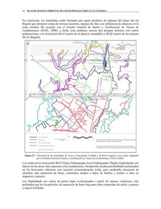 PLAN DE MANEJO AMBIENTAL DE LOS HUMEDALES TORCA Y GUAYMARAL44
En conclusión, los humedales están formados por aguas producto de rupturas del dique del río
Bogotá que afectaron zonas de terrazas lacustres, algunas de ellas con influencias de abanicos en la
zona oriental. De acuerdo con el Estudio General de Suelos y Zonificación de Tierras de
Cundinamarca (IGAC, 2000), a dicha zona podemos asociar dos paisajes distintos con suelos
pertenecientes a la Asociación RLO (suelos de la planicie inundable) y RLQ (suelos de las terrazas
del río Bogotá).
Figura 27. Ubicación de los humedales de Torca y Guaymaral, Córdoba y El Burro respecto a los suelos mapeados
por el Estudio General de Suelos y Zonificación de Tierras de Cundinamarca. INAC (2000)
Los suelos de la Asociación RLO (Typic Endoaquepts-Aeric Endoaquepts-Thaptic Hapludands) son
típicos de las áreas más expuestas a las inundaciones, Inceptisoles de poca profundidad encharcados
en los horizontes inferiores con reacción extremadamente ácida, pero moderada saturación de
aluminio, alta saturación de bases, contenidos medios a bajos de fósforo y medios a altos en
magnesio y potasio.
Los Hapludands son suelos de partes bajas evolucionados a partir de cenizas volcánicas, más
profundos que los Inceptisoles, de saturación de bases baja pero altos contenidos de calcio y potasio
y mayor fertilidad.
 