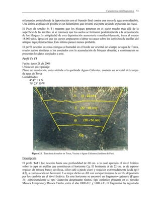 Caracterización Diagnóstica 53
rellenando, coincidiendo la depositación con el frenado final contra una masa de agua considerable.
Una última explicación posible es un fallamiento que levantó esa parte dejando expuestas las rocas.
El Pozo de sondeo Ps T1 muestra que los bloques penetran en el suelo mucho más allá de la
superficie de las arcillas; si se reconoce que los suelos se formaron posteriormente a la depositación
de los bloques, la antigüedad de esta depositación aumentaría considerablemente, hasta al menos
18.000 años, época en que los cursos empezaron a labrar su cauce sobre los depósitos de arcillas del
antiguo lago pleistocénico. Esto último parece menos probable.
El perfil descrito en zona contigua al humedal en el borde sur oriental del cuerpo de agua de Torca,
reveló suelos similares a los asociados con la acumulación de bloques descrita; a continuación se
presentan los datos asociados a este.
Perfil To T1
Fecha: junio 28 de 2006
Ubicación en el paisaje:
Plano de inundación, zona aledaña a la quebrada Aguas Calientes, costado sur oriental del cuerpo
de agua de Torca
Coordenadas:
4º 47’ 18 N
70º 23’ 50 W
Figura 33. Trinchera de suelos en Torca, Vecina a Aguas Calientes (Jardines de Paz)
Descripción
El perfil ToT1 fue descrito hasta una profundidad de 60 cm. a la cual apareció el nivel freático
sobre la capa de arcillas que constituyen el horizonte Cg. El horizonte A de 22 cm. es de espesor
regular, de textura franco arcillosa, color café a pardo claro y reacción extremadamente ácida (pH
4,5), a continuación un horizonte E o mejor dicho un AB con enriquecimiento de arcilla depositada
por los cambios en el nivel freático. En este horizonte se encontró un fragmento cerámico (Figura
34) correspondiente al tipo Guatavita desgrasante tiestos, tipo cerámico presente en el periodo
Muisca Temprano y Muisca Tardío, entre el año 1000 d.C. y 1600 d.C. El fragmento fue registrado
 