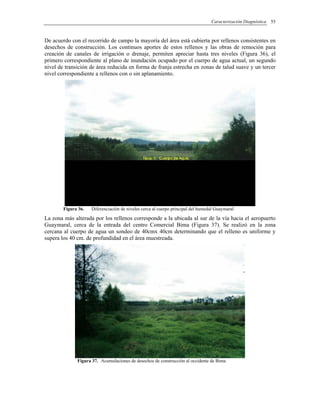 Caracterización Diagnóstica 55
De acuerdo con el recorrido de campo la mayoría del área está cubierta por rellenos consistentes en
desechos de construcción. Los continuos aportes de estos rellenos y las obras de remoción para
creación de canales de irrigación o drenaje, permiten apreciar hasta tres niveles (Figura 36), el
primero correspondiente al plano de inundación ocupado por el cuerpo de agua actual, un segundo
nivel de transición de área reducida en forma de franja estrecha en zonas de talud suave y un tercer
nivel correspondiente a rellenos con o sin aplanamiento.
Figura 36. Diferenciación de niveles cerca al cuerpo principal del humedal Guaymaral
La zona más alterada por los rellenos corresponde a la ubicada al sur de la vía hacia el aeropuerto
Guaymaral, cerca de la entrada del centro Comercial Bima (Figura 37). Se realizó en la zona
cercana al cuerpo de agua un sondeo de 40cmx 40cm determinando que el relleno es uniforme y
supera los 40 cm. de profundidad en el área muestreada.
Figura 37. Acumulaciones de desechos de construcción al occidente de Bima
 