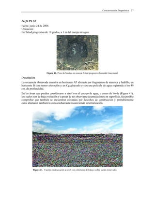 Caracterización Diagnóstica 57
Perfil PS G2
Fecha: junio 24 de 2006
Ubicación:
En Talud progresivo de 10 grados, a 1 m del cuerpo de agua.
Figura 40. Pozo de Sondeo en zona de Talud progresivo humedal Guaymaral
Descripción
La secuencia observada muestra un horizonte AP alterado por fragmentos de arenisca y ladrillo, un
horizonte B con menor alteración y un Cg gleyzado y con una película de agua registrada a los 49
cm. de profundidad.
En las áreas que pueden considerarse a nivel con el cuerpo de agua, o zonas de borde (Figura 41),
los suelos son de baja evolución y a pesar de no observarse acumulaciones en superficie, fue posible
comprobar que también se encuentran afectadas por desechos de construcción y probablemente
estos afectaron también la zona encharcada favoreciendo la terrarización.
Figura 41. Cuerpo en desecación a nivel con coberturas de kikuyo sobre suelos removidos
 