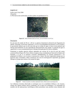 PLAN DE MANEJO AMBIENTAL DE LOS HUMEDALES TORCA Y GUAYMARAL58
Perfil Ps G3
Fecha: junio 24 de 2006
Ubicación:
A 50cm de la zona encharcada, en relieve plano con pendiente de 1%.
Figura 42. Suelos alterados hasta los 50 cm., con nivel freático a los 45 cm.
Descripción
En este pozo de sondeo de 40 cm. x 40 cm. se aprecia claramente la alteración por fragmentos de
ladrillo, afectando el horizonte superficial; a 45 cm. de profundidad encontramos el nivel freático,
lo que permite deducir que en esta zona más que un cuerpo de agua se tiene un área palustre que
fluctúa estacionalmente sin una capacidad de almacenamiento muy grande. La película de agua es
superficial y se seca constantemente por el drenaje efectuado para los cultivos aledaños.
Finalmente se pueden apreciar rellenos aplanados por encima de la cota de nivel del centro
comercial Bima (Figura 43). Estos rellenos ocupan un área considerada por fuera de los linderos del
humedal y su uso es el pastoreo ocasional. Probablemente los terrenos pertenezcan a los
propietarios de Bima y no se conoce su proyección a futuro. Revisten importancia porque por su
posición entre el humedal y Bima constituyen una zona de amortiguación importante que podría
albergar un bosque que conecte a los cuerpos de agua.
Figura 43. Predio levantado con rellenos aplanados frente a Bima (zona de amortiguación)
Las coberturas terrestres observadas se restringen casi en su totalidad al Kikuyo y las Acacias,
aunque hay algunos árboles nativos sembrados con el apoyo de estudiantes y la comunidad; de
acuerdo con las adecuaciones morfológicas deben presentarse unas posibles zonas distantes del
 