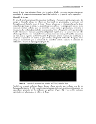 Caracterización Diagnóstica 59
cuerpo de agua para reintroducción de especies nativas, árboles y arbustos, que permitan mayor
asimilación de los escombros y aumenten la actividad biológica en el suelo, la cual es muy pobre.
Remoción de tierras
De acuerdo con la caracterización presentada inicialmente y basándonos en la comprobación de
campo y fotografías aéreas, los rellenos en Guaymaral son generalizados, se extienden casi
homogéneamente hasta las zonas de borde y forman taludes suaves o terrazas altas en las áreas
circundadas por zanjas o canales. La extensión de estos rellenos y su composición (cascajo en su
mayoría) permiten adelantar que una remoción a gran escala es prácticamente imposible e
innecesaria. De los humedales incluidos en este estudio, Torca y Guaymaral son los que presentan
taludes más suaves y más acordes con la configuración original; a su vez los suelos no han sido
afectados por basuras y sus propiedades fisicoquímicas no son tan malas, por lo cual las remociones
de tierra que se sugerirán en la formulación de proyectos, estarán encaminadas inicialmente a
establecer la reconexión con cuerpos de agua aislados y a mejorar la profundidad de algunas zonas
anegadas recientemente por la comunidad. Se considera también necesaria la remoción de
sedimentos y basuras en algunos puntos (Figura 44).
Figura 44. Obstrucción por basuras en el límite con la UDCA y la Autopista Norte
También es necesario rediseñar algunos diques, rellenar acequias que trasladan agua de los
humedales hacia zonas de cultivo y reforzar estructuras existentes para aislar momentáneamente los
desperdicios generados por la producción de gallinaza (Figura 45) y los posibles químicos
depositados por la fumigación de cultivos de flores.
 