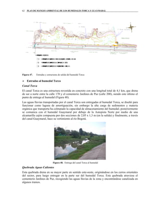 PLAN DE MANEJO AMBIENTAL DE LOS HUMEDALES TORCA Y GUAYMARAL62
☺
Figura 47. Entradas y estructuras de salida del humedal Torca
Entradas al humedal Torca
Canal Torca
El canal Torca es una estructura revestida en concreto con una longitud total de 4,1 km, que drena
de sur a norte entre la calle 170 y el cementerio Jardines de Paz (calle 200), siendo este último el
punto de entrega al humedal (Figura 48).
Las aguas lluvias transportadas por el canal Torca son entregadas al humedal Torca, se diseñó para
funcionar como laguna de amortiguación, sin embargo la alta carga de sedimentos y materia
orgánica que transporta ha colmatado la capacidad de almacenamiento del humedal; posteriormente
se comunica con el humedal Guaymaral por debajo de la Autopista Norte por medio de una
alcantarilla cajón compuesta por dos secciones de 2,05 x 1,3 m (en la salida) y finalmente, a través
del canal Guaymaral, hace su vertimiento al río Bogotá.
Figura 48. Entrega del canal Torca al humedal
Quebrada Aguas Calientes
Esta quebrada drena en su mayor parte en sentido este-oeste, originándose en los cerros orientales
del sector, para luego entregar en la parte sur del humedal Torca. Esta quebrada atraviesa el
cementerio Jardines de Paz, recogiendo las aguas lluvias de la zona y encontrándose canalizada en
algunos tramos.
 