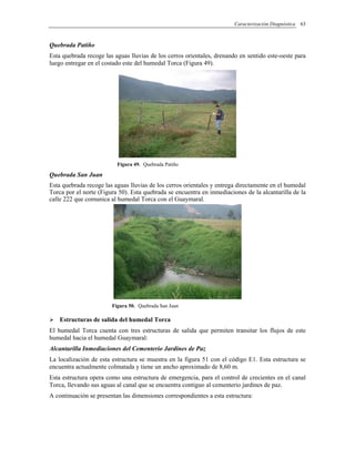 Caracterización Diagnóstica 63
Quebrada Patiño
Esta quebrada recoge las aguas lluvias de los cerros orientales, drenando en sentido este-oeste para
luego entregar en el costado este del humedal Torca (Figura 49).
Figura 49. Quebrada Patiño
Quebrada San Juan
Esta quebrada recoge las aguas lluvias de los cerros orientales y entrega directamente en el humedal
Torca por el norte (Figura 50). Esta quebrada se encuentra en inmediaciones de la alcantarilla de la
calle 222 que comunica al humedal Torca con el Guaymaral.
Figura 50. Quebrada San Juan
Estructuras de salida del humedal Torca
El humedal Torca cuenta con tres estructuras de salida que permiten transitar los flujos de este
humedal hacia el humedal Guaymaral:
Alcantarilla Inmediaciones del Cementerio Jardines de Paz
La localización de esta estructura se muestra en la figura 51 con el código E1. Esta estructura se
encuentra actualmente colmatada y tiene un ancho aproximado de 8,60 m.
Esta estructura opera como una estructura de emergencia, para el control de crecientes en el canal
Torca, llevando sus aguas al canal que se encuentra contiguo al cementerio jardines de paz.
A continuación se presentan las dimensiones correspondientes a esta estructura:
 