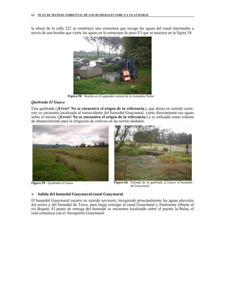 PLAN DE MANEJO AMBIENTAL DE LOS HUMEDALES TORCA Y GUAYMARAL66
la altura de la calle 222 se construyó una estructura que recoge las aguas del canal intermedio a
través de una bomba que vierte las aguas en la estructura de paso E3 que se muestra en la figura 58.
Figura 58. Bomba en el separador central de la Autopista Norte
Quebrada El Guaco
Esta quebrada (¡Error! No se encuentra el origen de la referencia.), que drena en sentido oeste-
este se encuentra localizada al noroccidente del humedal Guaymaral, vierte directamente sus aguas
sobre el mismo (¡Error! No se encuentra el origen de la referencia.) y es utilizada como sistema
de abastecimiento para la irrigación de cultivos en las tierras aledañas.
Figura 59. Quebrada el Guaco Figura 60. Entrada de la quebrada el Guaco al humedal
de Guaymaral
Salida del humedal Guaymaral-canal Guaymaral
El humedal Guaymaral escurre en sentido sur-norte, recogiendo principalmente las aguas pluviales
del sector y del humedal de Torca, para luego entregar al canal Guaymaral y finalmente tributar al
río Bogotá. El punto de entrega del humedal se encuentra localizado sobre el puente la Balsa, el
cual comunica con el Aeropuerto Guaymaral.
 