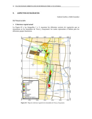 PLAN DE MANEJO AMBIENTAL DE LOS HUMEDALES TORCA Y GUAYMARAL80
55.. AASSPPEECCTTOOSS EECCOOLLÓÓGGIICCOOSS
Gabriel Guillot y Edith González
5.1 VEGETACIÓN
Cobertura vegetal actual
La Figura 65 y las fotografías 1 y 2, muestran los diferentes sectores de vegetación que se
encuentran en los humedales de Torca y Guaymaral, los cuales representan el hábitat para los
diferentes grupos faunísticos.
Figura 65. Mapa de cobertura vegetal de los humedales de Torca y Guaymaral..
 