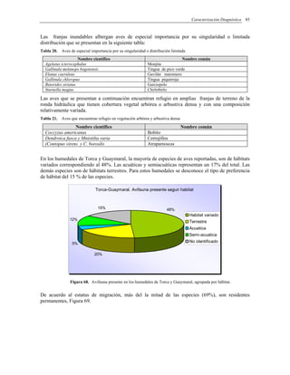 Caracterización Diagnóstica 85
Las franjas inundables albergan aves de especial importancia por su singularidad o limitada
distribución que se presentan en la siguiente tabla:
Tabla 20. Aves de especial importancia por su singularidad o distribución limitada
Nombre científico Nombre común
Agelaius icterocephalus Monjita
Gallinula melanops bogotensis Tingua de pico verde
Elanus caeruleus Gavilán maromero
Gallinula chloropus Tingua piquirroja
Butorides striatus Garciopolo
Sturnella magna Chirlobirlo
Las aves que se presentan a continuación encuentran refugio en amplias franjas de terreno de la
ronda hidráulica que tienen cobertura vegetal arbórea o arbustiva densa y con una composición
relativamente variada.
Tabla 21. Aves que encuentran refugio en vegetación arbórea y arbustiva densa
Nombre científico Nombre común
Coccyzus americanus Bobito
Dendroica fusca y Mniotilta varia Cerrojillos
(Contopus virens y C. borealis Atrapamoscas
En los humedales de Torca y Guaymaral, la mayoría de especies de aves reportadas, son de hábitats
variados correspondiendo al 48%. Las acuáticas y semiacuáticas representan un 17% del total. Las
demás especies son de hábitats terrestres. Para estos humedales se desconoce el tipo de preferencia
de hábitat del 15 % de las especies.
Torca-Guaymaral. Avifauna presente segun habitat
20%
5%
12%
15% 48%
Habitat variado
Terrestre
Acuatica
Semi-acuatica
No identificado
Figura 68. Avifauna presente en los humedales de Torca y Guaymaral, agrupada por hábitat.
De acuerdo al estatus de migración, más del la mitad de las especies (69%), son residentes
permanentes, Figura 69.
 