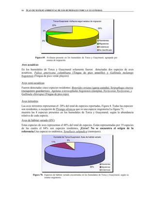 PLAN DE MANEJO AMBIENTAL DE LOS HUMEDALES TORCA Y GUAYMARAL86
Torca-Guaymaral. Avifauna segun estatus de migracion
8%
3%
20%
69%
Residentes
Migratorios
Endemicos
No identificado
Figura 69. Avifauna presente en los humedales de Torca y Guaymaral, agrupada por
estatus de migración.
Aves acuáticas
En los humedales de Torca y Guaymaral solamente fueron detectadas dos especies de aves
acuáticas, Fulica americana columbiana (Tingua de pico amarillo) y Gallinula melanops
bogotensis (Tingua de pico verde playero)
Aves semi-acuáticas
Fueron detectadas cinco especies residentes: Botorides striatus (garza castaña), Serpophaga cinerea
(mosquitero guardarrios), Agelaius icterocephalus bogotensis (monjita), Nyctycorax Nyctycorax, y
Gallinula chloropus (Tingua de pico rojo).
Aves terrestres
Las aves terrestres representan el 20% del total de especies reportadas, Figura 4. Todas las especies
son residentes, a excepción de Piranga olivácea que es una especie migratoria.La figura 71,
muestra las 8 especies presentes en los humedales de Torca y Guaymaral, según la abundancia
relativa de cada especie.
Aves de hábitat variado (HV)
Estas especies de aves representan el 48% del total de especies. Están representadas por 19 especies
de las cuales el 84% son especies residentes, ¡Error! No se encuentra el origen de la
referencia.Una especie es endémica, Synallaxis subpudica (rastrojero).
Humedal de Torca-Guaymaral. Aves de habitat variado
84%
11%
5%
Residentes
Migratorias
Endemicas
Figura 70. Especies de hábitat variado encontradas en los humedales de Torca y Guaymaral, según su
estatus migratorio.
 
