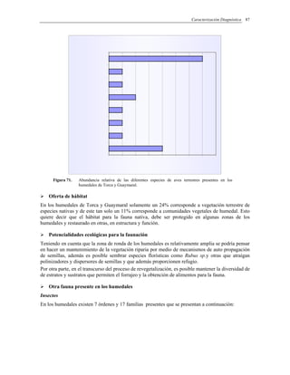 Caracterización Diagnóstica 87
Figura 71. Abundancia relativa de las diferentes especies de aves terrestres presentes en los
humedales de Torca y Guaymaral.
Oferta de hábitat
En los humedales de Torca y Guaymaral solamente un 24% corresponde a vegetación terrestre de
especies nativas y de este tan solo un 11% corresponde a comunidades vegetales de humedal. Esto
quiere decir que el hábitat para la fauna nativa, debe ser protegido en algunas zonas de los
humedales y restaurado en otras, en estructura y función.
Potencialidades ecológicas para la faunación
Teniendo en cuenta que la zona de ronda de los humedales es relativamente amplia se podría pensar
en hacer un mantenimiento de la vegetación riparia por medio de mecanismos de auto propagación
de semillas, además es posible sembrar especies florísticas como Rubus sp.y otras que atraigan
polinizadores y dispersores de semillas y que además proporcionen refugio.
Por otra parte, en el transcurso del proceso de revegetalización, es posible mantener la diversidad de
de estratos y sustratos que permiten el forrajeo y la obtención de alimentos para la fauna.
Otra fauna presente en los humedales
Insectos
En los humedales existen 7 órdenes y 17 familias presentes que se presentan a continuación:
 