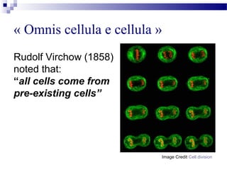 « Omnis cellula e cellula »
Rudolf Virchow (1858)
noted that:
“all cells come from
pre-existing cells”
Image Credit Cell division
 