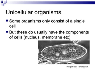 Unicellular organisms
 Some organisms only consist of a single
cell
 But these do usually have the components
of cells (nucleus, membrane etc)
Image Credit Paramecium
 