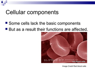 Cellular components
 Some cells lack the basic components
 But as a result their functions are affected.
Image Credit Red blood cells
 