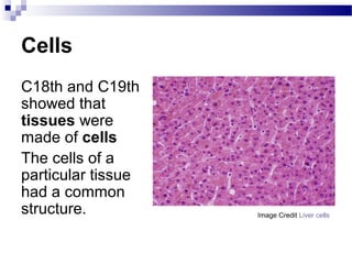 Cells
C18th and C19th
showed that
tissues were
made of cells
The cells of a
particular tissue
had a common
structure. Image Credit Liver cells
 