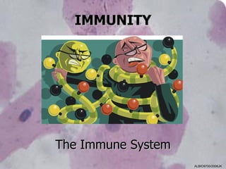 IMMUNITY




The Immune System
                    ALBIO9700/2006JK
 