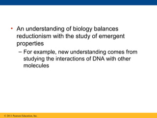 • An understanding of biology balances
reductionism with the study of emergent
properties
– For example, new understanding comes from
studying the interactions of DNA with other
molecules
© 2011 Pearson Education, Inc.
 