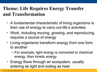 Theme: Life Requires Energy Transfer
and Transformation
• A fundamental characteristic of living organisms is
their use of energy to carry out life’s activities
• Work, including moving, growing, and reproducing,
requires a source of energy
• Living organisms transform energy from one form
to another
– For example, light energy is converted to chemical
energy, then kinetic energy
• Energy flows through an ecosystem, usually
entering as light and exiting as heat
© 2011 Pearson Education, Inc.
 